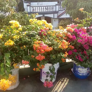 Privatunterkunft Heavenly, Kochi